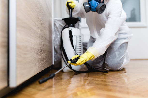 Best Pest Control for Homes  in Rockville Centre, NY
