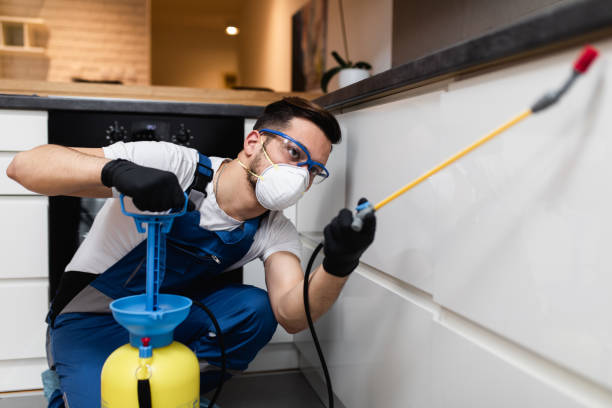 Best Residential Pest Control  in Rockville Centre, NY