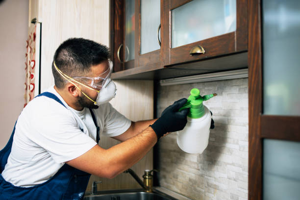 Best Pest Prevention Services  in Rockville Centre, NY