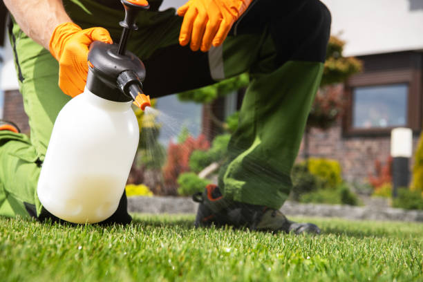 Insect Control in Rockville Centre, NY