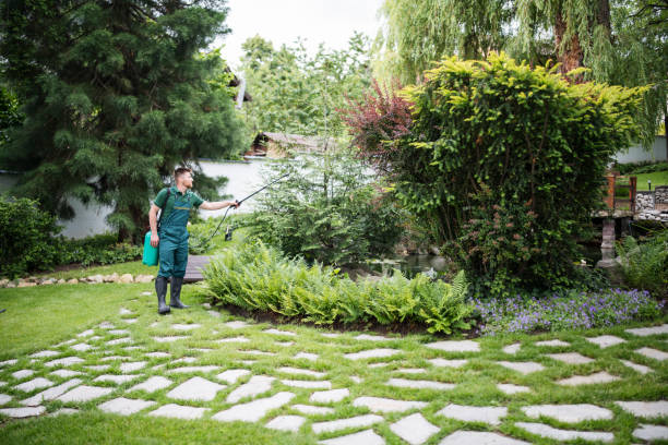 Best Pest Control Near Me in Rockville Centre, NY