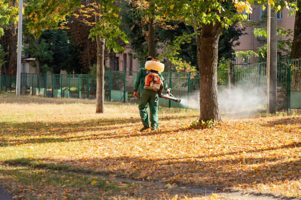 Pest Control for Restaurants in Rockville Centre, NY